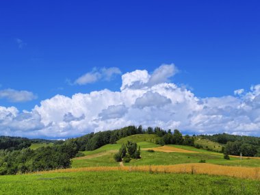 suwalszczyzna, Polonya
