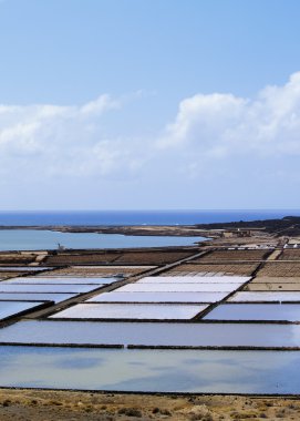 Salinas de janubio, lanzarote, Kanarya Adaları, İspanya