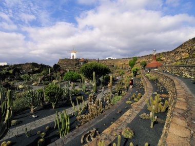 Jardin de kaktüs, lanzarote, Kanarya Adaları, İspanya