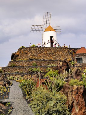 Jardin de kaktüs, lanzarote, Kanarya Adaları, İspanya