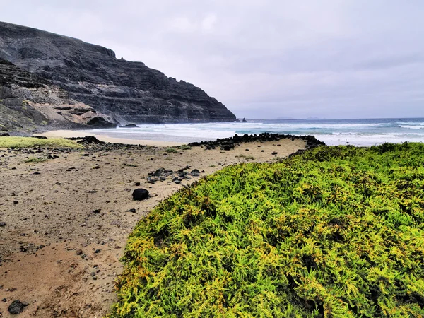 Orzola, Lanzarote, Îles Canaries, Espagne — Photo