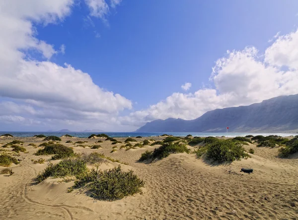 Caleta de famara, lanzarote, Kanarieöarna, Spanien — Stockfoto