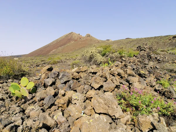 Volcan de la corona, lanzarote, Canarische eilanden, Spanje — Stockfoto