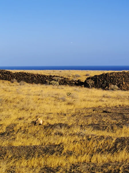 Lanzarote, Canarische eilanden, Spanje — Stockfoto