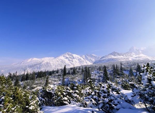 Zimní, Tatry, Polsko — Stock fotografie