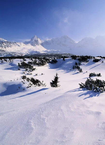 Zimní, Tatry, Polsko — Stock fotografie