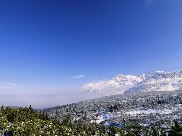 Vinter, Tatra Mountains, Polen – stockfoto