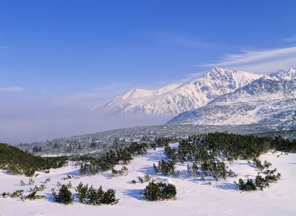 Winter, tatra gebergte, Polen — Stockfoto