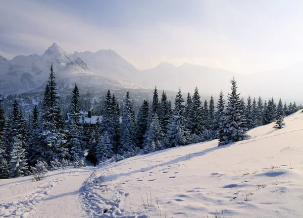 Hiver, montagnes Tatra, Pologne — Photo