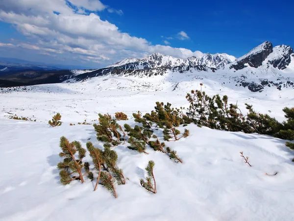 Winter, Tatra Mountains, Poland — Stock Photo, Image