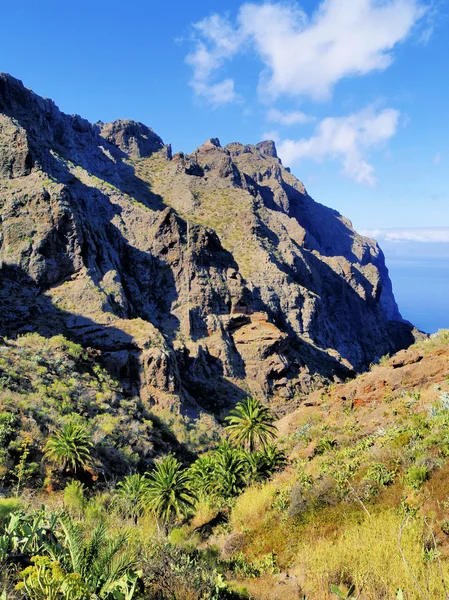 Masca(teno mountains)，西班牙加那利群岛的特内里费岛 — 图库照片