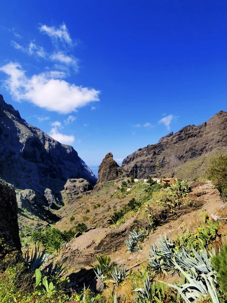 Masca(Teno Mountains), Teneryfa, Wyspy Kanaryjskie, Hiszpania — Zdjęcie stockowe