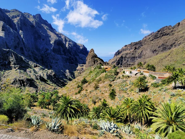 Masca(Teno Mountains), Teneryfa, Wyspy Kanaryjskie, Hiszpania — Zdjęcie stockowe