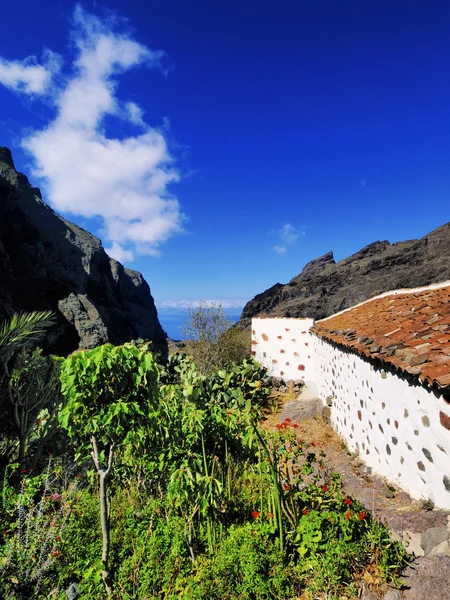 Masca (Monti Teno), Tenerife, Isole Canarie, Spagna — Foto Stock