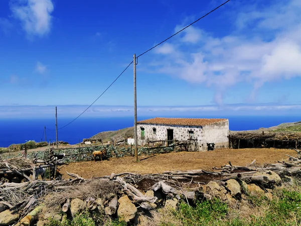 Tenerife, Kanarya Adaları, İspanya — Stok fotoğraf