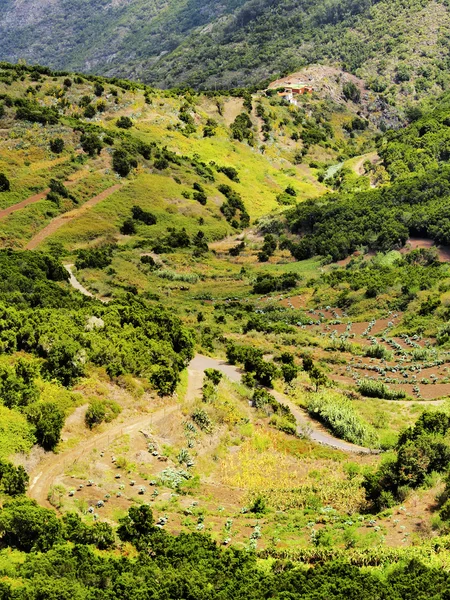 Teno bergen, tenerife, Canarische eilanden, Spanje — Stockfoto