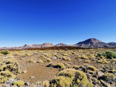 Tide Ulusal Parkı, Tenerife, Kanarya Adaları, İspanya