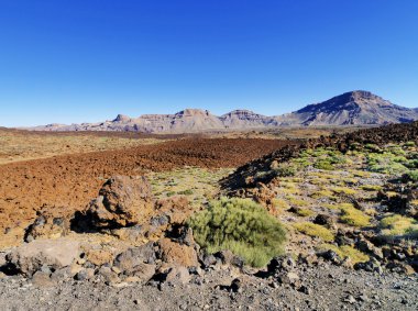 Tide Ulusal Parkı, Tenerife, Kanarya Adaları, İspanya