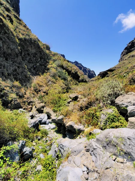 Barranco del Infierno(Hell's Gorge), Tenerife, Canary Islands — Stock Photo, Image