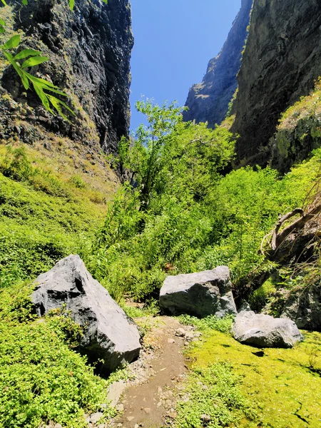 Barranco del infierno (Höllenschlucht), Teneriffa, Kanarische Inseln — Stockfoto