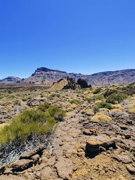 Teide தேசியப் பூங்கா (கார்சியா பாறைகள்), டெனெரிஃப், கனரி தீவுகள், ஸ்பெயின் — ஸ்டாக் புகைப்படம்