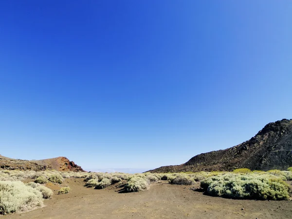 Vulkaniska landskap, hierro, Kanarieöarna — Stockfoto