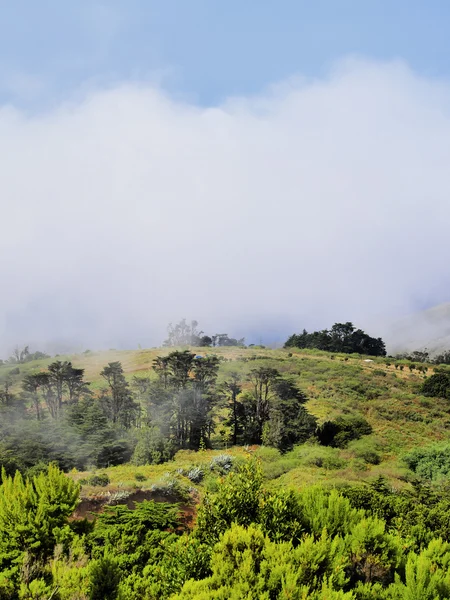 Bulutlarda hierro, Kanarya Adaları — Stok fotoğraf