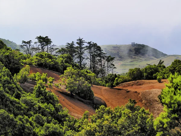 Turuncu toprak, el hierro, Kanarya Adaları — Stok fotoğraf