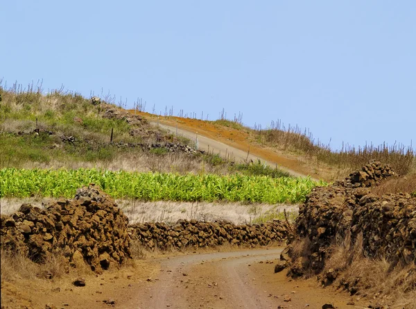 El hierro, Kanarya Adaları yolda — Stok fotoğraf