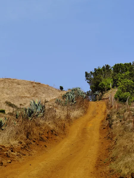 Camino en El Hierro, Islas Canarias — Foto de Stock