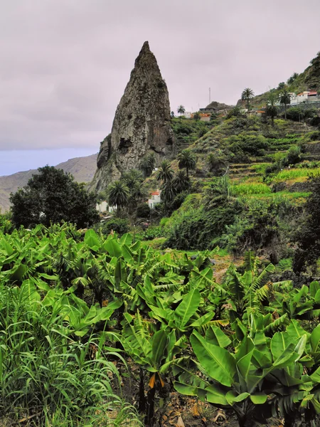 Hermigua, la gomera, Wyspy Kanaryjskie, Hiszpania — Zdjęcie stockowe