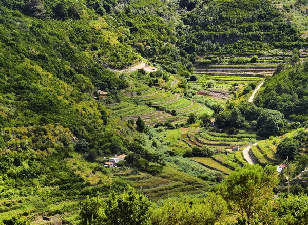 Vallehermoso, La Gomera, Kanarieöarna, Spanien — Stockfoto