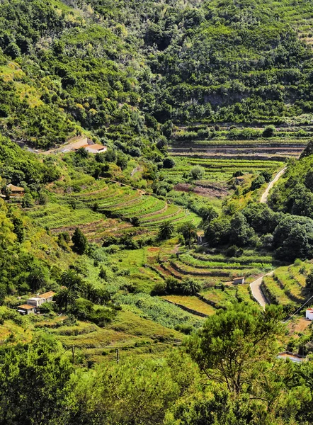 Vallehermoso, La Gomera, Isole Canarie, Spagna — Foto Stock