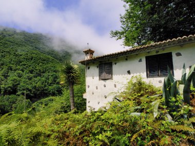 Garajonay Milli Parkı, la gomera, Kanarya Adaları, İspanya