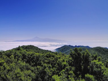 Alto de garajonay la gomera, Kanarya Adaları, İspanya görüntülemek