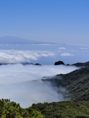 Alto de garajonay la gomera, Kanarya Adaları, İspanya görüntülemek