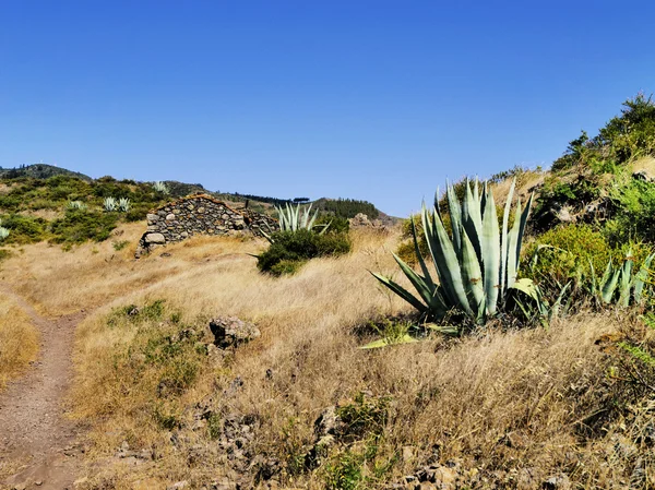 La Gomera, Канарские острова, Испания — стоковое фото