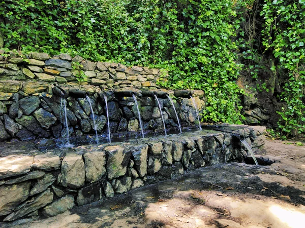 Chorros de Epina, La Gomera, Isole Canarie, Spagna — Foto Stock