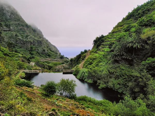 Park narodowy Garajonay, la gomera, Wyspy Kanaryjskie, Hiszpania — Zdjęcie stockowe