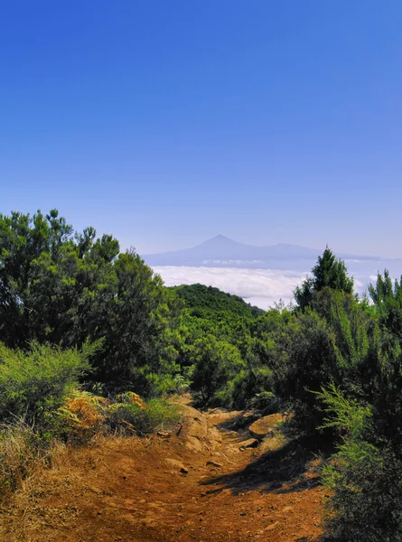 Vista desde Alto de Garajonay, La Gomera, Islas Canarias, España — Foto de Stock