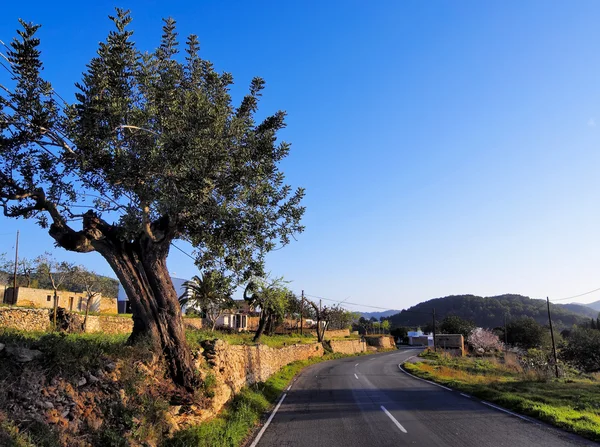 Ibiza Road, Isole Baleari, Spagna — Foto Stock