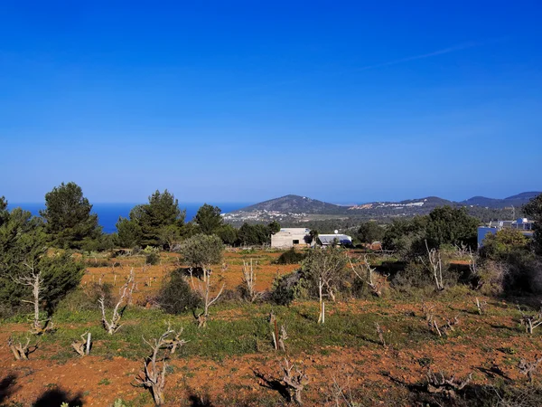Venkovské ibiza, Baleárské ostrovy, Španělsko — Stock fotografie