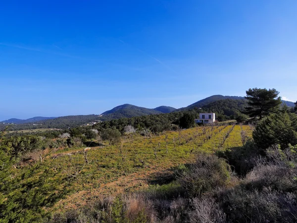 Landelijke ibiza, Balearen, Spanje — Stockfoto