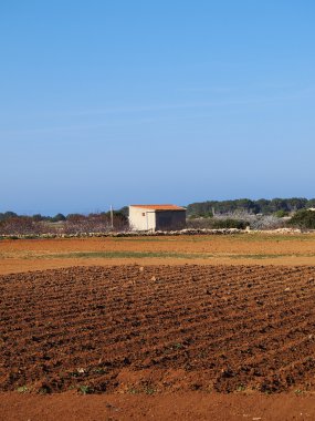sahada formentera, Balear Adaları, İspanya