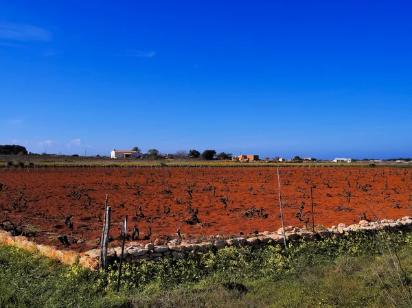 Πεδίο στη Φορμεντέρα, Βαλεαρίδες Νήσοι, Ισπανία — Φωτογραφία Αρχείου