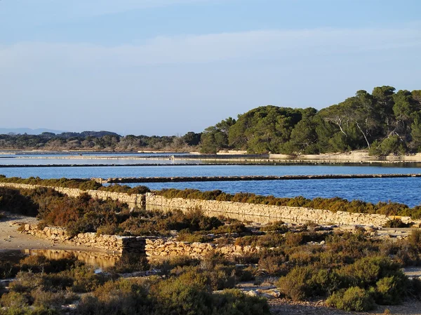 SES salines, formentera, Baleary, Hiszpania — Zdjęcie stockowe