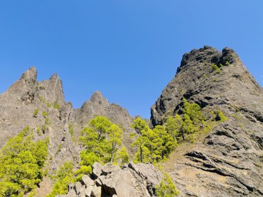 Caldera de taburiente ulusal park la palma