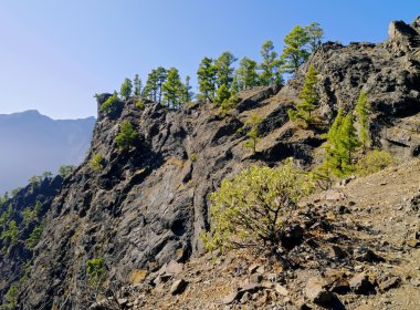 Caldera de taburiente ulusal park la palma