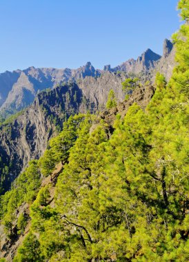 Caldera de taburiente ulusal park la palma