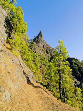 Caldera de taburiente ulusal park la palma